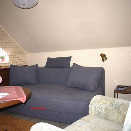 LautenthalBirkenstuebchenアパートメント エクステリア 写真