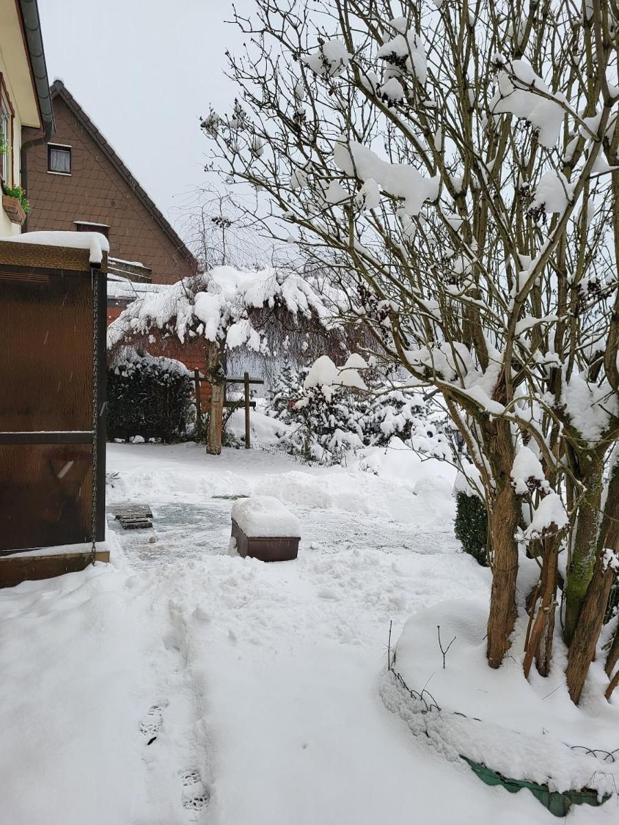 LautenthalBirkenstuebchenアパートメント エクステリア 写真