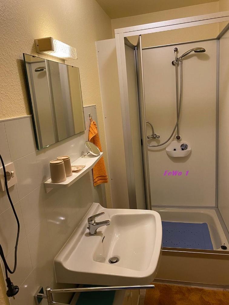 LautenthalBirkenstuebchenアパートメント エクステリア 写真